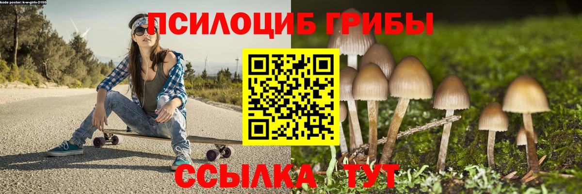 Галлюциногенные грибы ЛСД Новороссийск